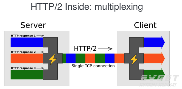 确定HTTP/2是否适用