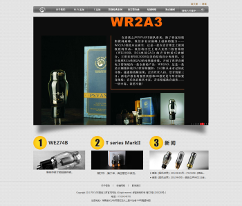 PSVANE贵族之声官方网站网站制作